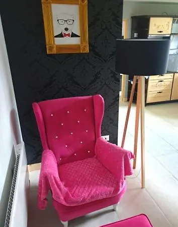 Bialy Mis Sauna & Jacuzzi Apartment *