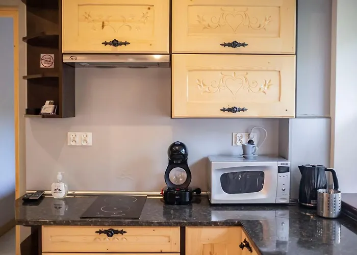 Bialy Mis Sauna & Jacuzzi Appartement Zakopane